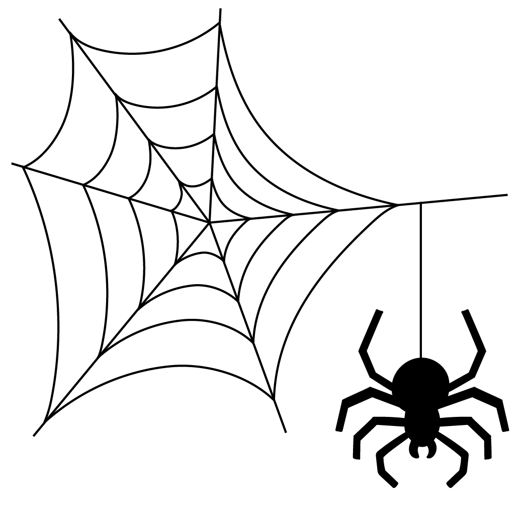 蜘蛛の巣とクモ 無料イラスト素材ならイラストック
